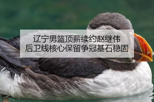 辽宁男篮顶薪续约赵继伟 后卫线核心保留争冠基石稳固